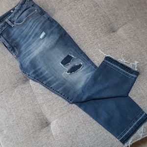 Blue Skinny Ankle Jeans